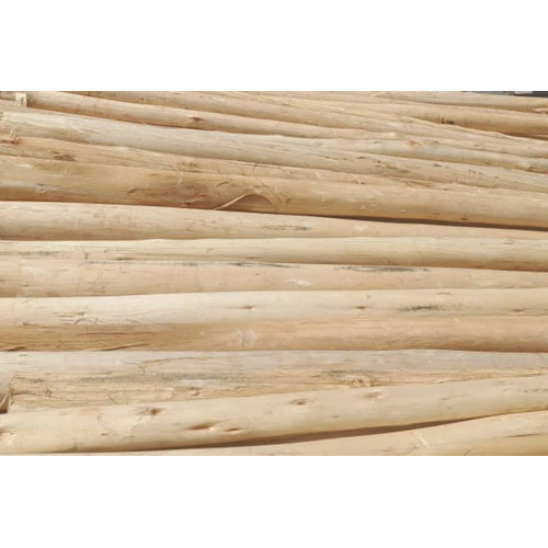 Untreated  Gum  Poles